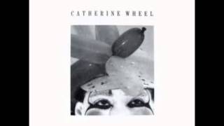 Catherine Wheel - Intravenous - Balloon
