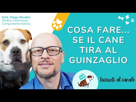 Da lyambliya e pinworms Larve di helminths questo
