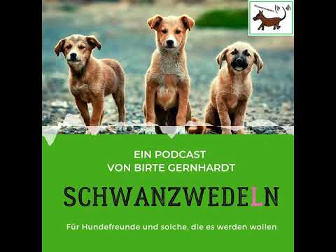 20 Jahresrückblick Schwanzwedeln 2019 - Schwanzwedeln