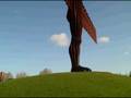 Oct 24 2008 VID00010