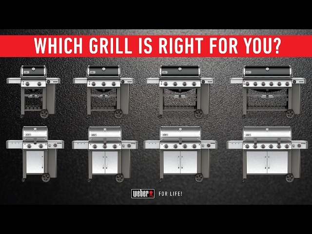 Video Teaser für Which Weber Genesis II Is Right For You?