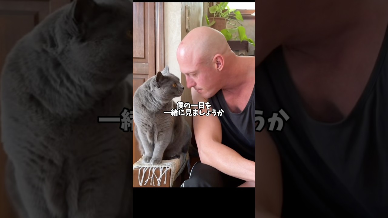【破壊力】この見た目で猫に甘すぎる男