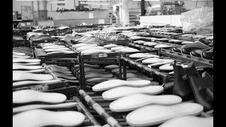 L'UNIVERS DE BRESLEV