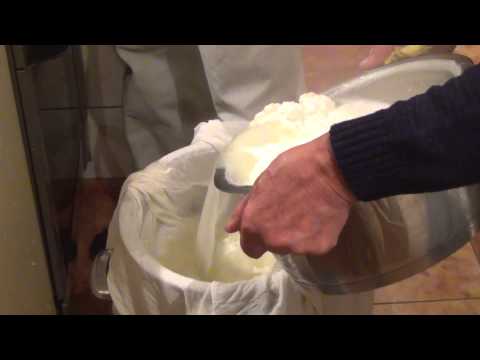 Kako napraviti sir u 5 koraka - Volim Sir.com