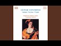Chamber Concerto in D Major, RV 93: II. Largo