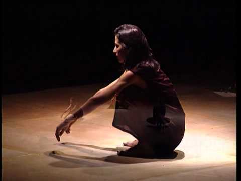 Entre Vues 1997 " Crossing The Border " - Cie Nadine Ganase