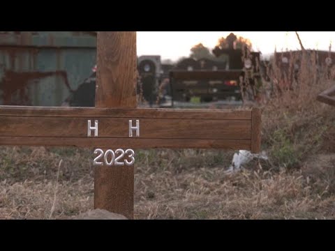 Friedhof der Namenlosen: Dutzende Migranten sterben auf der Balkanroute