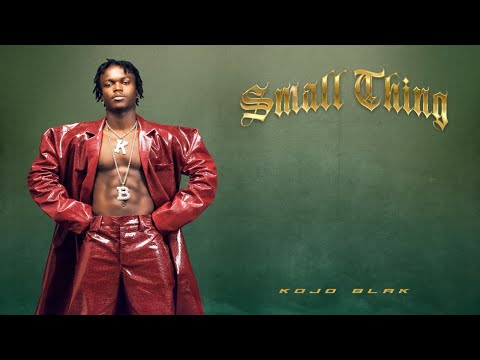 KOJO BLAK - Small Thing (Official Visualizer)