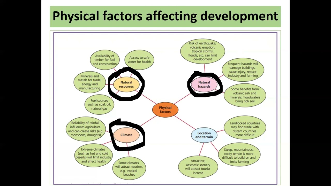 Dynamic Development  Unit Summary