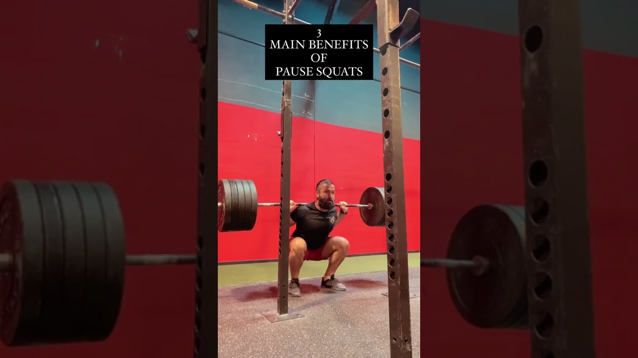 Pause Squat