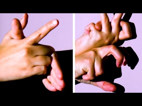 Diese 10 Schattenspiele fetzen – Nr. 3 sitzt aufm Ast