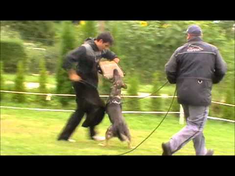 Erico z Jukasu - protection - 10 months