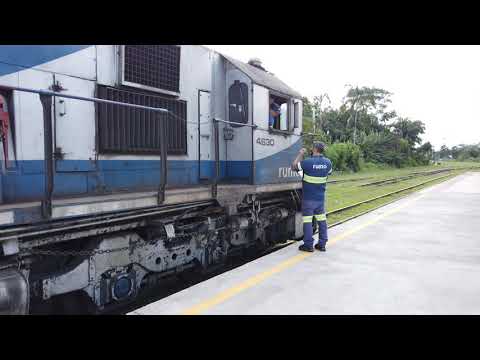 BEST TRAIN RIDE IN BRAZIL - Curitiba rail road Morretes RUMO