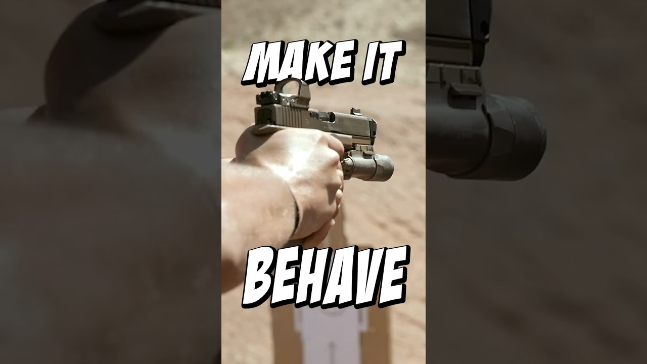 Make the Gun Behave