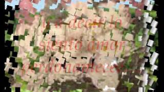 Volverte a ver..Luis Enrique.wmv