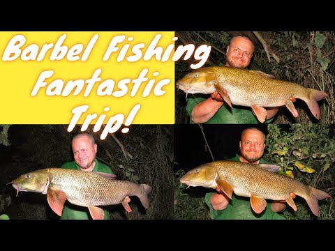 Barbel Fishing - River Kennet - A Brilliant Trip! (Video 236)