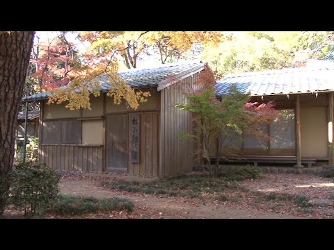 秋の玉川学園