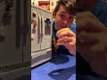 Too Much LEGO Ice