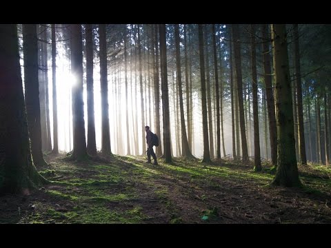 Metal detecting "Ardennes Forest (SPECIAL)" (25)