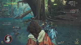 [モンスターハンターワイルズ]　#02 ストーリーを狩猟する[PS5] ‼️