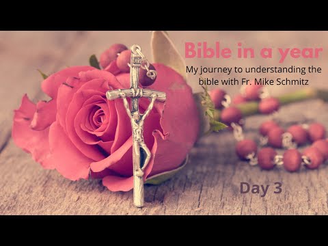 Day 3: The Bible in a year - Noah's Ark