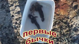 Ссылка