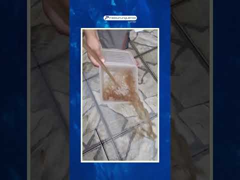 Moradores do Residencial Santa Clara, na Vila Santa Fé, reclamam de água suja nas torneiras