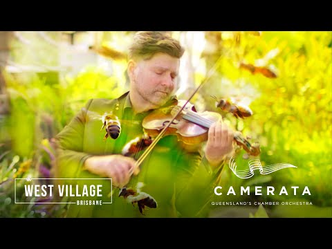 West Village - Apis Australis! performed by Camerata