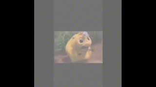 Download lagu Tonight you belong to me😭🥀✌️ mp3 Download lagu Tonight you belong to me😭🥀✌️ mp3