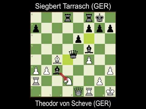 Theodor von Scheve gegen Siegbert Tarrasch [Gutes Schach]