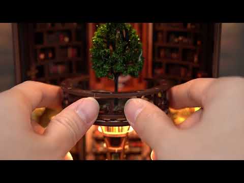 Book Nook Wisdom Rings Book Repository  відеоогляд