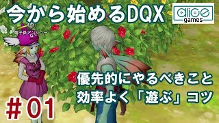 【ドラクエ10】今から始めるDQX #01 キャラ育成・クエスト・効率化【DQX】