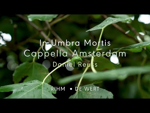 Cappella Amsterdam zingt 'In Umbra Mortis' met werken van Giaches de Wert en Wolfgang Rihm