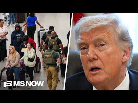 NYT: TSA tipped off ICE agents before arrest of mother and child at airport