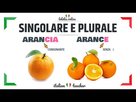 Video Sample