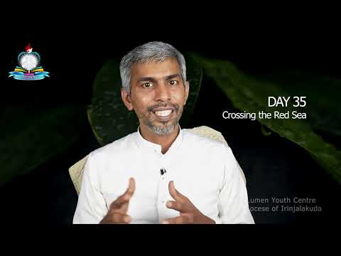 Day 35: Crossing the Red Sea I പുറപ്പാട് 13-14, ലേവ്യര്‍ 10 I സങ്കീ. 53 I