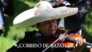 Mariachi Los Gavilanes De José Alfredo Jiménez - El Corrido De Mazatlán 🌅 | Desde Nido Quetzalcóatl