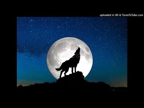 01. Aero Manyelo Feat Oluhle - If Only (TorQue MuziQ Afro Tech Bootleg)