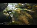10 Hours Crystal Clear Water NO MUSIC Pure Nature Sounds