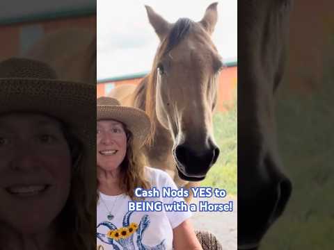 Quarter Horse Cash Says 'yay' To Hanging With Horses! #horsetherapy #horse #equinetherapy