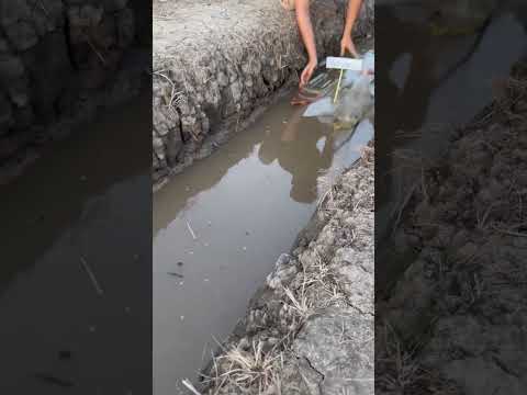 Có ai thử sức ở đường đua này không ?  #ghengodiendien