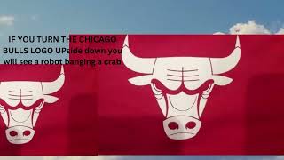 IF YOU TURN THE CHICAGO BULLS LOGO UPside down you will see a robot banging a crab
