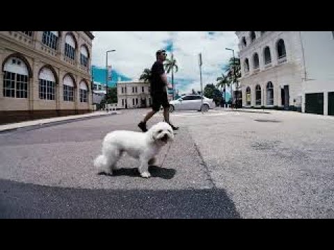 Boy From Australia - Addict - Music Video