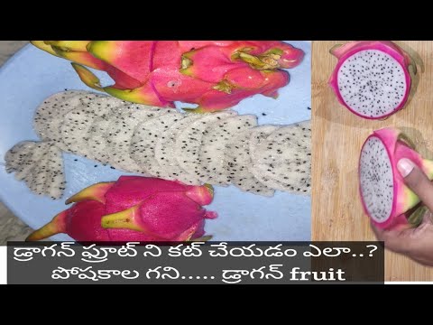 Dragon fruit cut cheyadam ala
