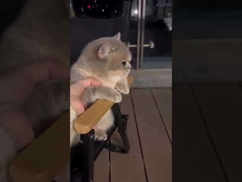 poochandy yugam 😂😂🙌