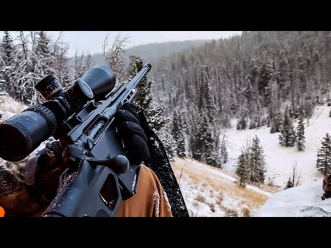 Montana Hunt Day 2