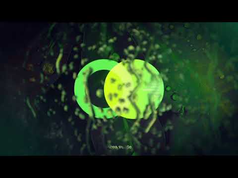 Lian Gold, Erika Krall - Nuur (Original Mix) // Area Verde