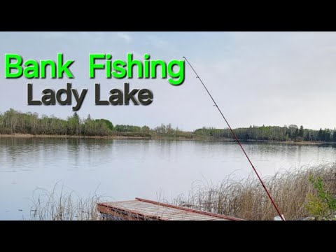 Bank Fishing Lady Lake