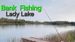Bank Fishing Lady Lake