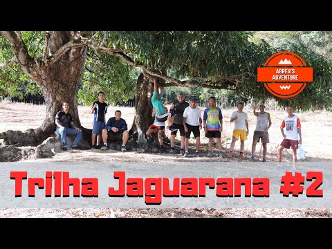 TRILHA EM JAGUARANA #2 - Bicho preguiça e Tracajá de barbixa